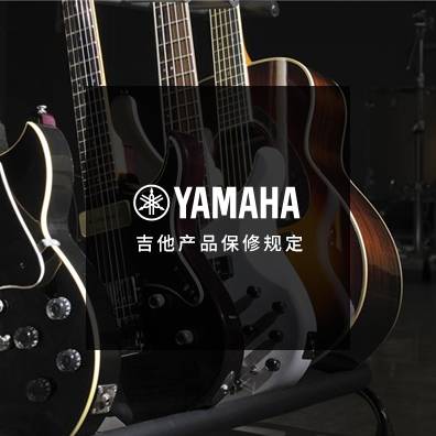 吉他、贝斯和音箱