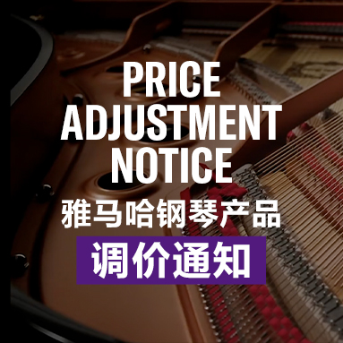 球信网钢琴产品调价通知